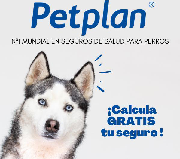seguros perros