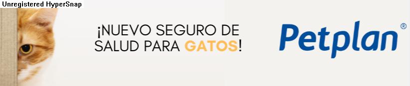 seguro de gatos