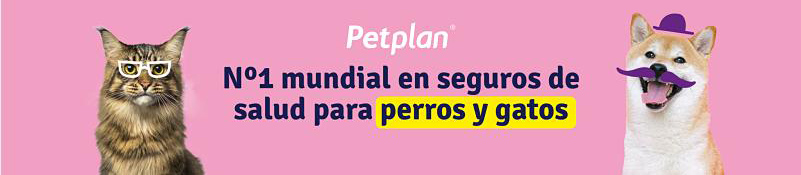 seguro petplan