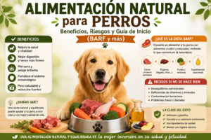 Alimentación natural para perros