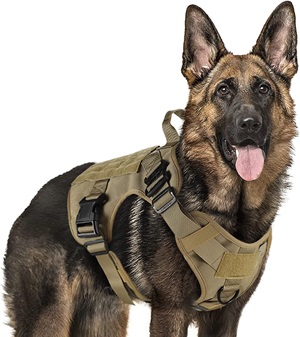 arnes tactico k9