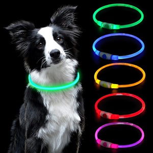 collar led perros noche