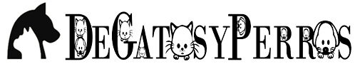 DE GATOS Y PERROS