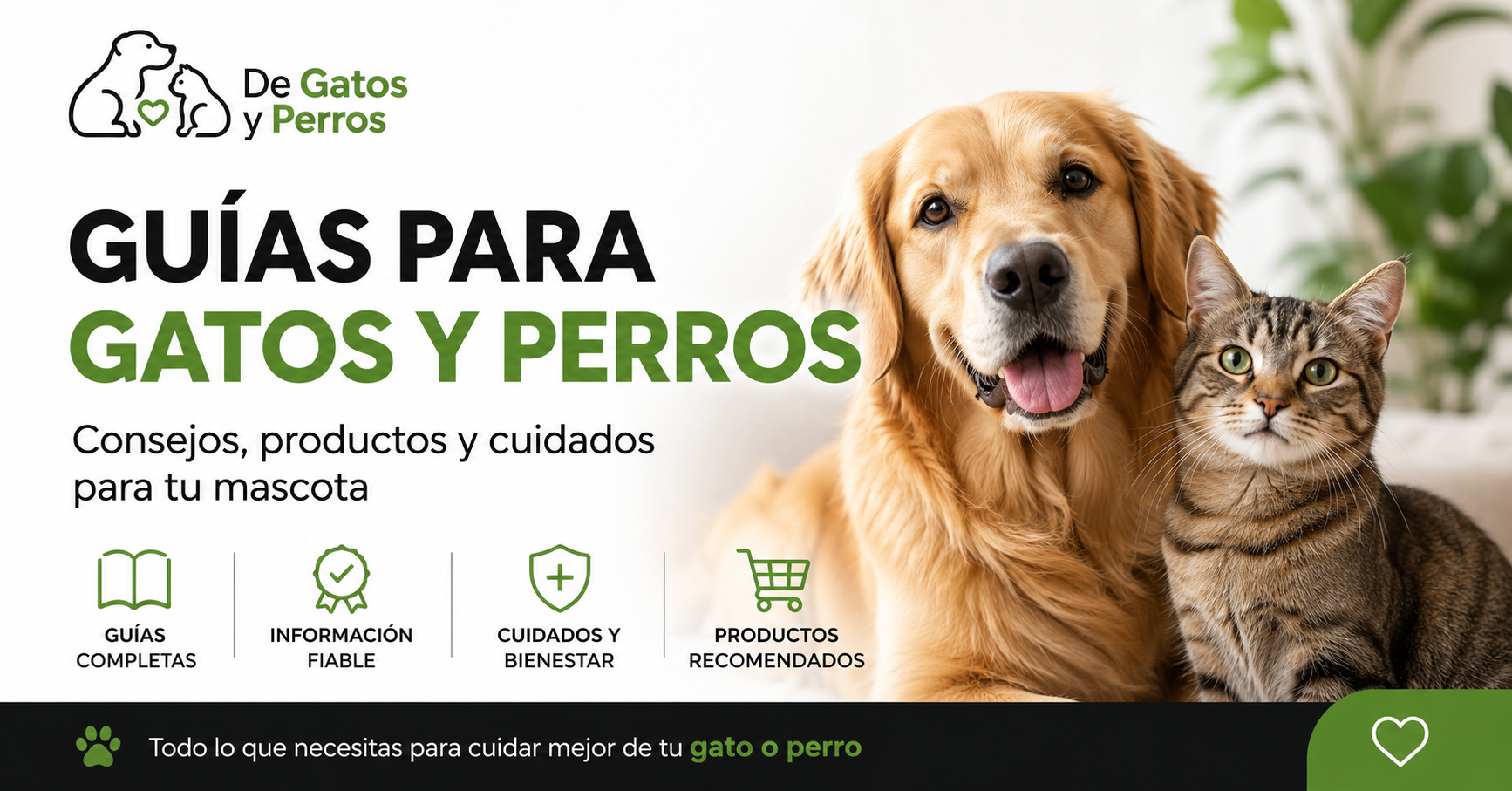 Guías para gatos y perros