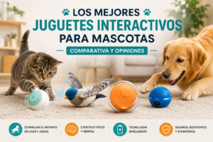 Juguetes interactivos para mascotas