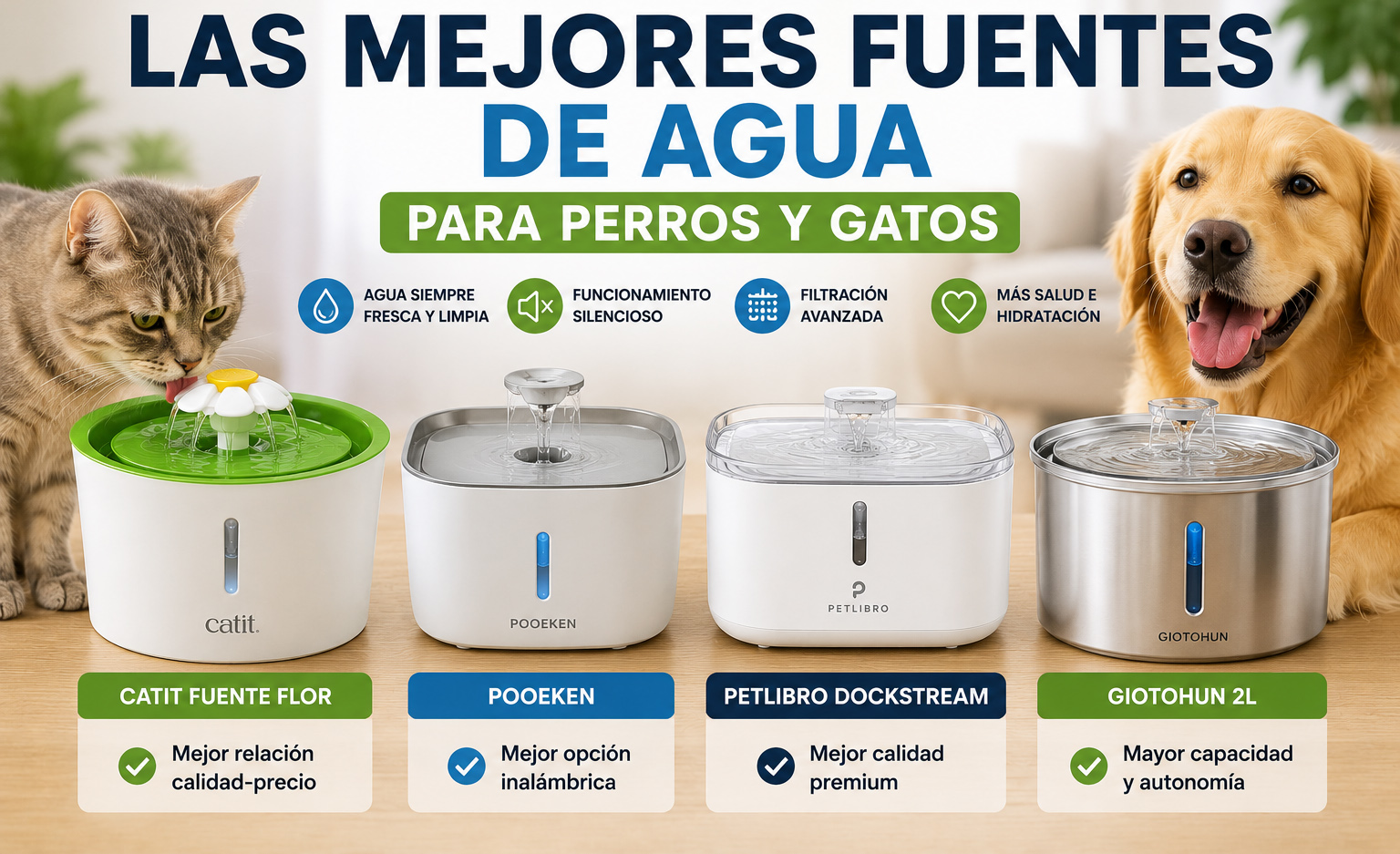 Las mejores fuentes para mascotas